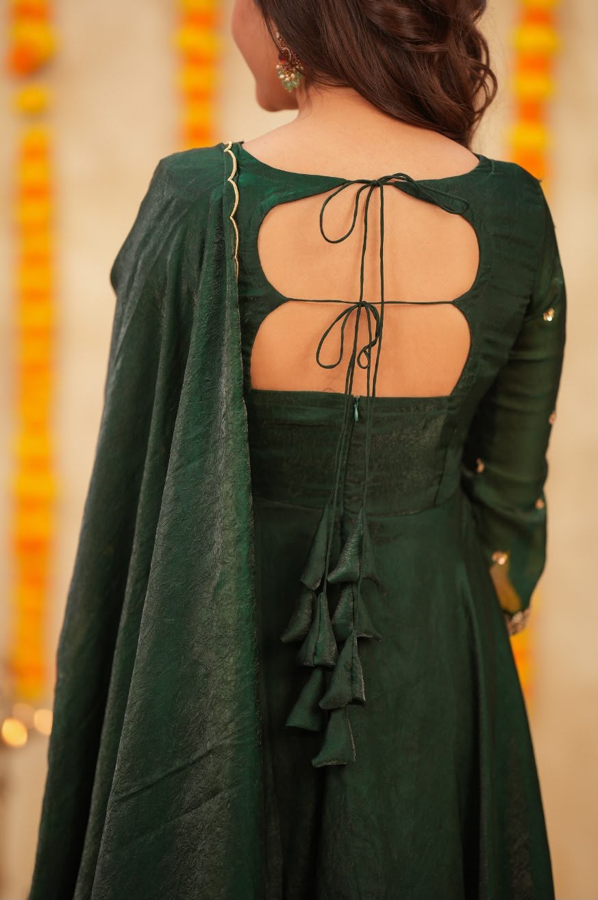 Vanya Emerald Sparkling Georgette Gown ✨